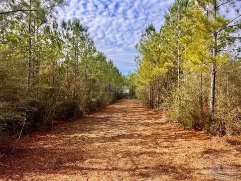 lot13 Br Buffalo Ridge Rd, Pace, FL 32571 photo 6