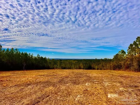lot13 Br Buffalo Ridge Rd, Pace, FL 32571 photo 16