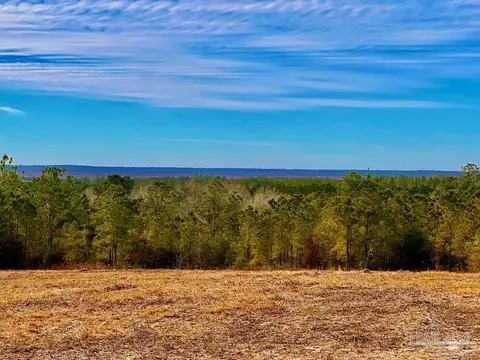 lot13 Br Buffalo Ridge Rd, Pace, FL 32571 photo 12