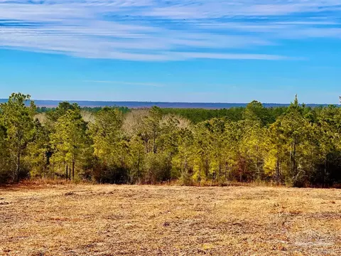 lot13 Br Buffalo Ridge Rd, Pace, FL 32571 photo 4