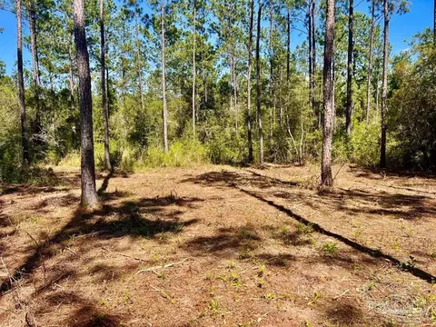 lot75 Naturewalk Dr, Pace, FL 32571 photo 10