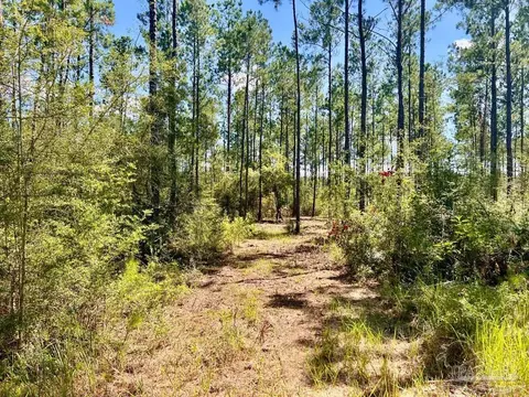 lot75 Naturewalk Dr, Pace, FL 32571 photo 12