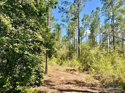 lot75 Naturewalk Dr, Pace, FL 32571 photo 11