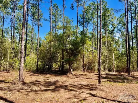 lot75 Naturewalk Dr, Pace, FL 32571 photo 5