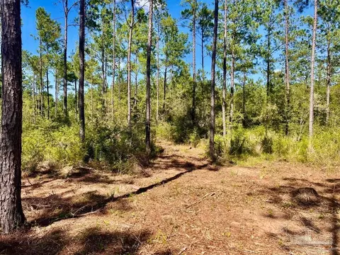 lot75 Naturewalk Dr, Pace, FL 32571 photo 8