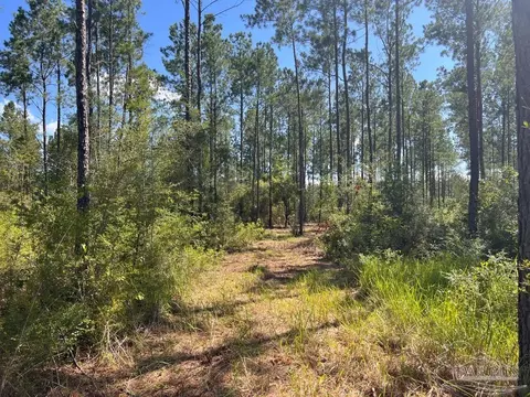 lot75 Naturewalk Dr, Pace, FL 32571 photo 16