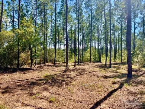 lot75 Naturewalk Dr, Pace, FL 32571 photo 6