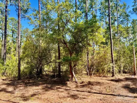 lot75 Naturewalk Dr, Pace, FL 32571 photo 13