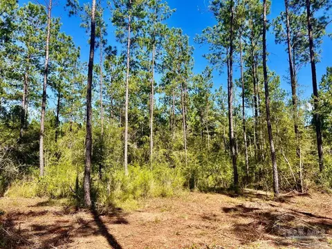 lot75 Naturewalk Dr, Pace, FL 32571 photo 15