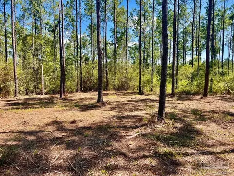 lot75 Naturewalk Dr, Pace, FL 32571 photo 4
