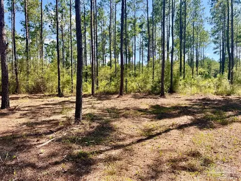 lot75 Naturewalk Dr, Pace, FL 32571 photo 7