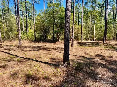 lot75 Naturewalk Dr, Pace, FL 32571 photo 9