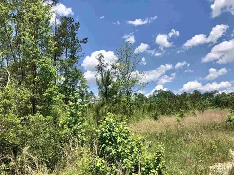 lot80 Br Deer Lodge Dr, Pace, FL 32571 photo 14