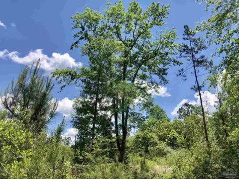 lot80 Br Deer Lodge Dr, Pace, FL 32571 photo 17