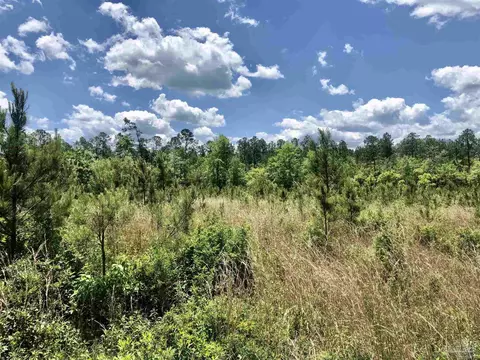 lot80 Br Deer Lodge Dr, Pace, FL 32571 photo 10