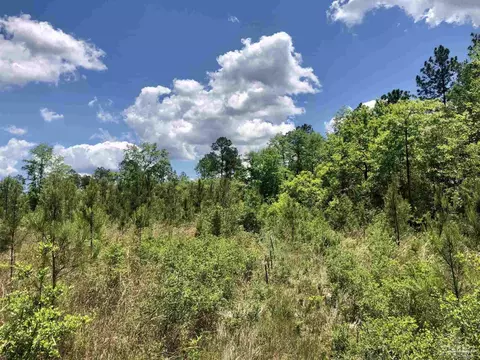 lot80 Br Deer Lodge Dr, Pace, FL 32571 photo 15