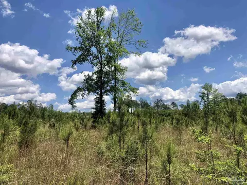 lot80 Br Deer Lodge Dr, Pace, FL 32571 photo 16