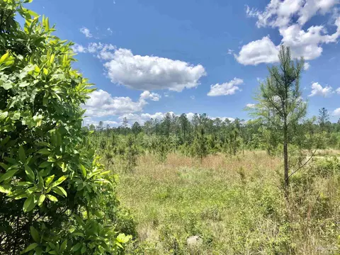 lot80 Br Deer Lodge Dr, Pace, FL 32571 photo 20
