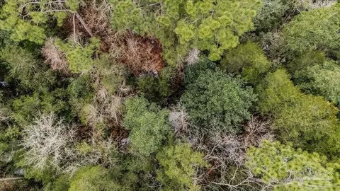 2388 Wallace Lake Rd, Pace, FL 32571 photo 3