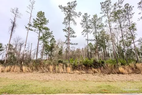9 51 Parkstone Pines Rd, Pace, FL 32571 photo 3