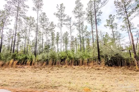 lot64 Sage Forest Ln, Pace, FL 32571 photo 10
