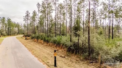 lot64 Sage Forest Ln, Pace, FL 32571 photo 15