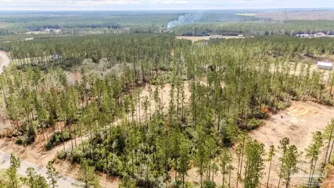lot64 Sage Forest Ln, Pace, FL 32571 photo 6
