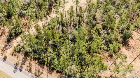 lot64 Sage Forest Ln, Pace, FL 32571 photo 2