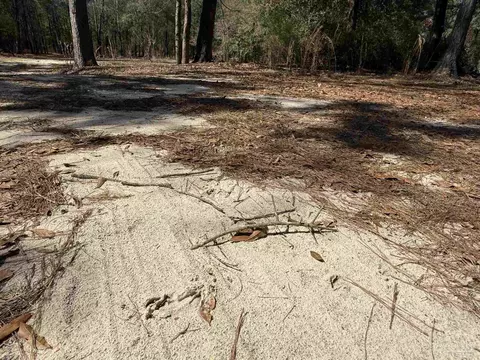 6601 Daniel Griffis Rd, Jay, FL 32565 photo 32