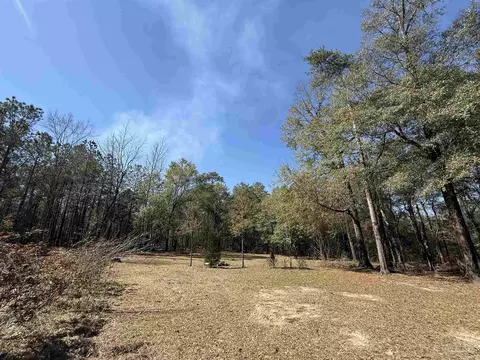 6601 Daniel Griffis Rd, Jay, FL 32565 photo 17