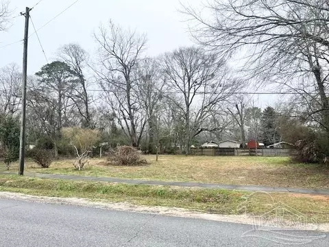 227 E 229 E Ashley St, Atmore, AL 36502 photo 3