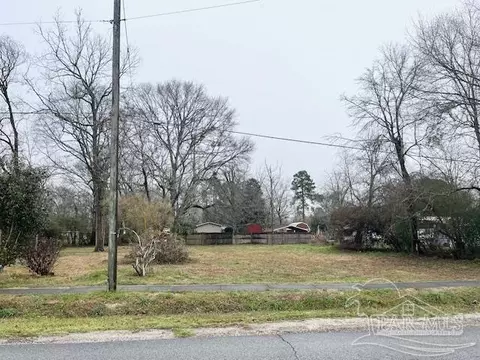 227 E 229 E Ashley St, Atmore, AL 36502 photo 2