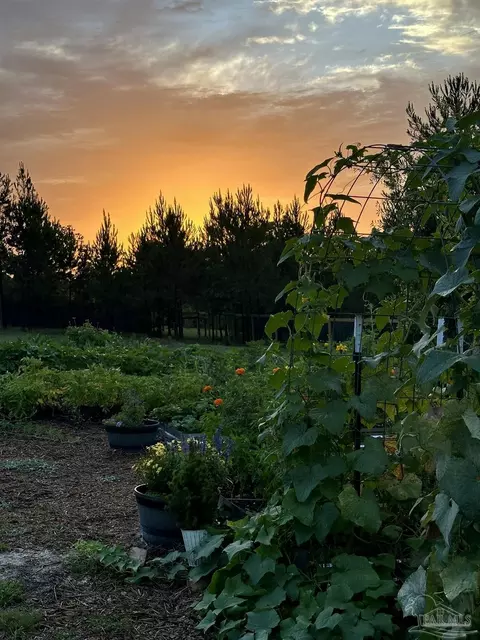 Other - 7628 Buffalo Ridge Rd, Pace, FL 32571 photo 10 of 19