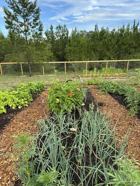 Other - 7628 Buffalo Ridge Rd, Pace, FL 32571 photo 12 of 19