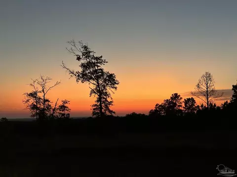 Other - 7628 Buffalo Ridge Rd, Pace, FL 32571 photo 13 of 19