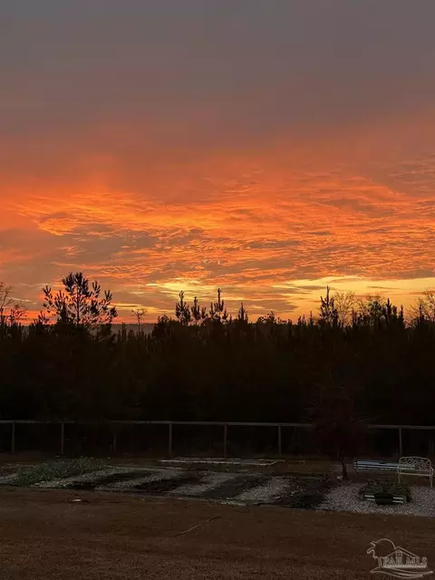 Other - 7628 Buffalo Ridge Rd, Pace, FL 32571 photo 15 of 19