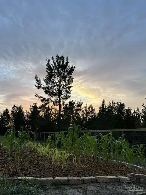 Other - 7628 Buffalo Ridge Rd, Pace, FL 32571 photo 11 of 19