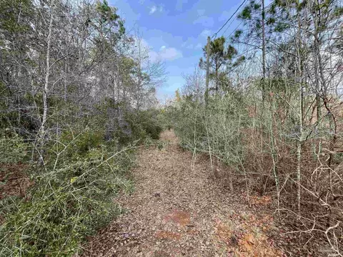 5751 Nowling Dr, Milton, FL 32583 photo 5
