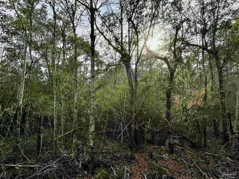 5751 Nowling Dr, Milton, FL 32583 photo 2