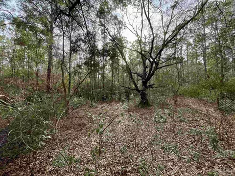 5751 Nowling Dr, Milton, FL 32583 photo 4