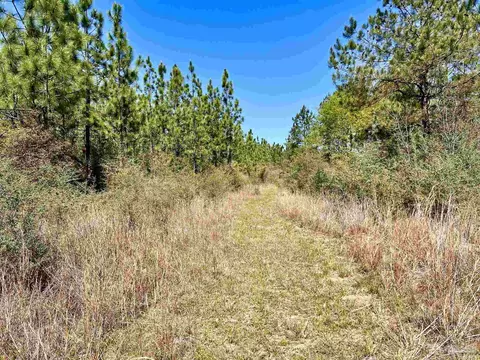 lot33 Pine Preserve Ln, Pace, FL 32571 photo 18