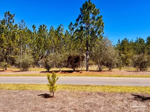 lot33 Pine Preserve Ln, Pace, FL 32571 photo 15