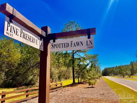 lot33 Pine Preserve Ln, Pace, FL 32571 photo 2