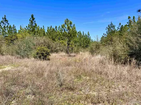 lot33 Pine Preserve Ln, Pace, FL 32571 photo 19