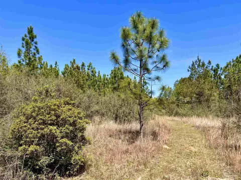 lot33 Pine Preserve Ln, Pace, FL 32571 photo 20
