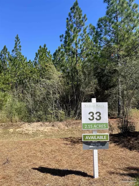 lot33 Pine Preserve Ln, Pace, FL 32571 photo 4