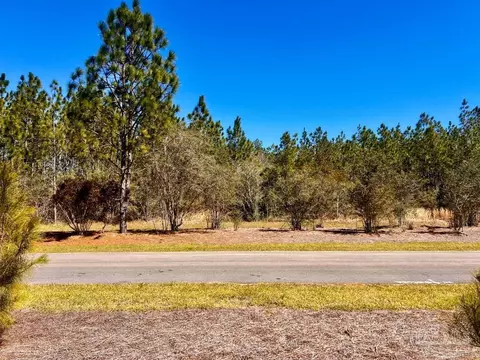 lot33 Pine Preserve Ln, Pace, FL 32571 photo 16