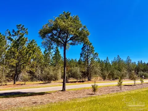 lot33 Pine Preserve Ln, Pace, FL 32571 photo 3