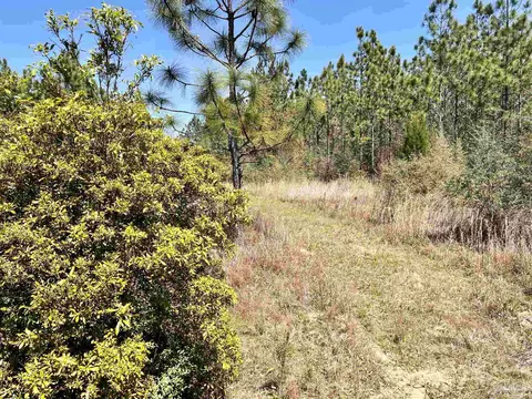 lot33 Pine Preserve Ln, Pace, FL 32571 photo 17