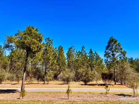 lot33 Pine Preserve Ln, Pace, FL 32571 photo 11